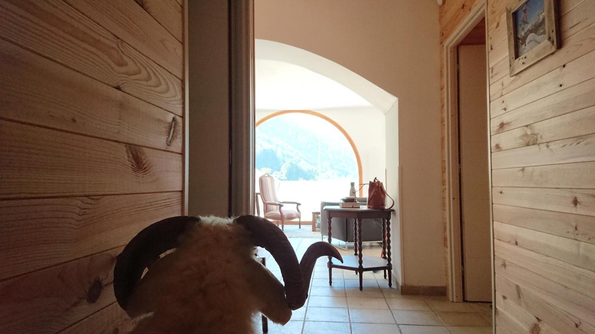 Superbe Logement 12 Pers Famille Ou Groupe. Laruns Εξωτερικό φωτογραφία